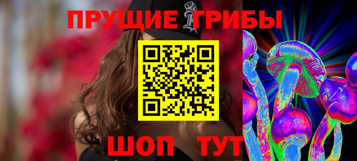 Ахтубинск  Псилоцибиновые грибы Psilocybine cubensis  Вход с VPN 