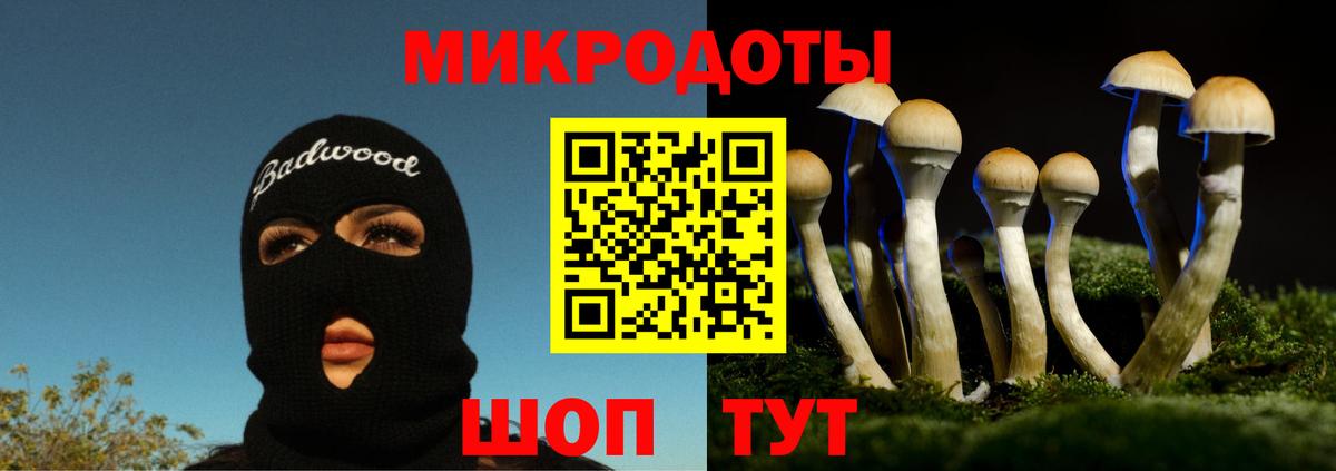 Галлюциногенные грибы мухоморы Ахтубинск